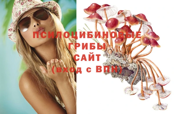 не бодяженный Новокубанск