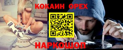 индика Аргун