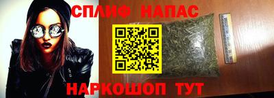 индика Аргун
