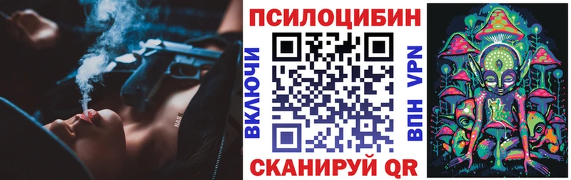 OMG как войти  Асбест  Псилоцибиновые грибы Magic Shrooms 