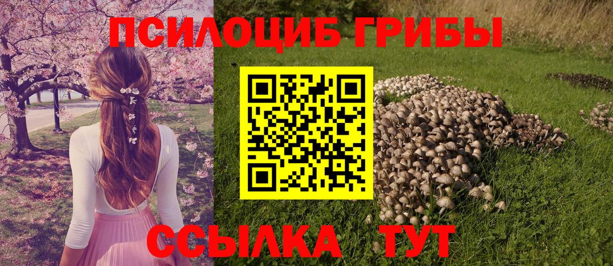 Галлюциногенные грибы Magic Shrooms Асбест